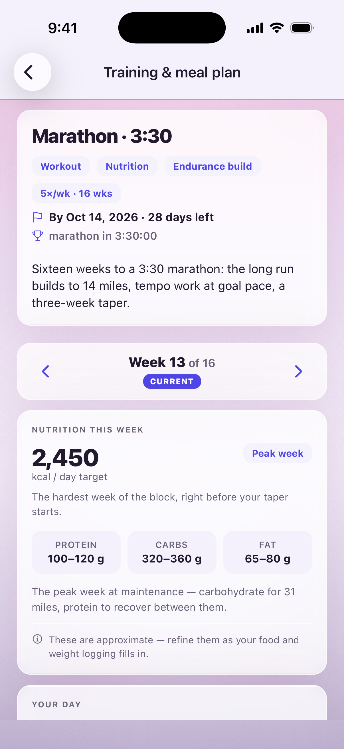 The Training and meal plan page on a sample account: Marathon 3:30, five sessions a week for sixteen weeks, by October 14, the week switcher at week 13 of 16, and Nutrition this week — 2,450 kcal a day, peak week — with protein, carbs and fat ranges under it.